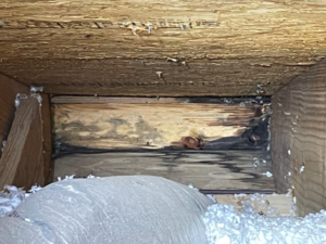 Moisture Intrusion at Fascia Board, Attic Inspection