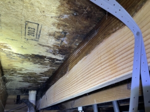Shower Failure Murfreesboro TN Home Inspection