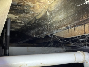 Inspected Shower Failure Murfreesboro TN Home Inspector