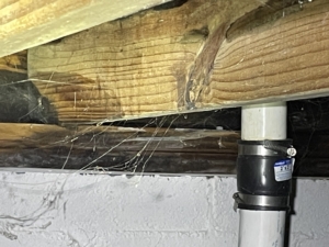 Saturated wood found in murfreesboro tn home inspections
